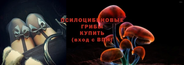 СК Гусев