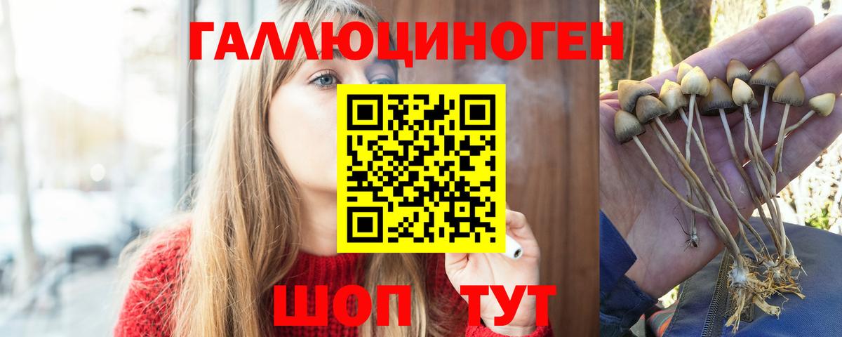 Псилоцибиновые грибы мухоморы  Вход с VPN  Галлюциногенные грибы Magic Shrooms  Тында 